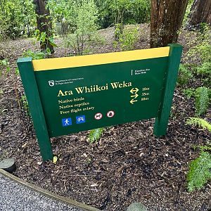 New Zealand Native Bird Precinct (Signage)