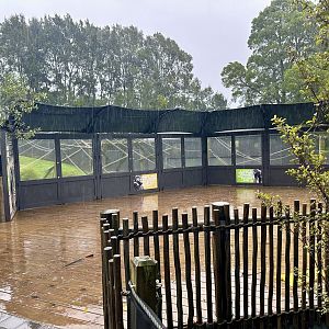Chimpanzee Exhibit (Viewing Deck)