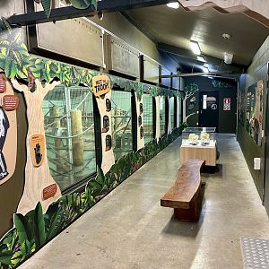 Chimpanzee Night House (Viewing Gallery)