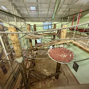 Chimpanzee Night House