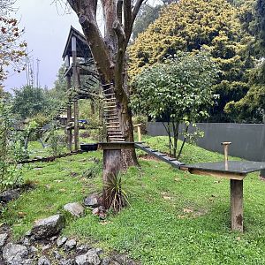 Nepalese Red Panda Exhibit (New Climbing Platform)
