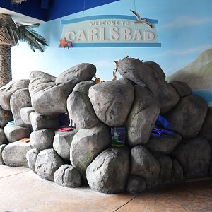 "Welcome to Carlsbad" Exhibit