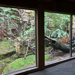 Minnesota Trail - American Marten Exhibit