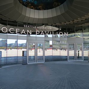 Ocean Pavilion - Entry and Reef Preview Ceiling Window