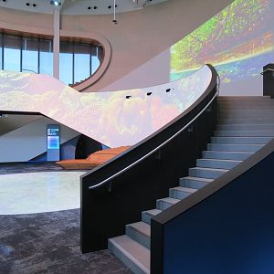 Ocean Pavilion - One Ocean Hall