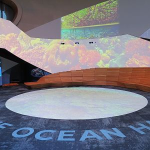 Ocean Pavilion - One Ocean Hall