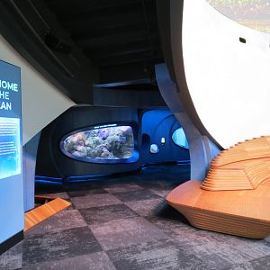 Ocean Pavilion - At Home In The Ocean Exhibit Hall