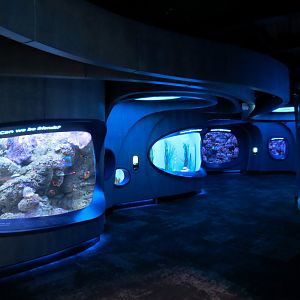 Ocean Pavilion - At Home In The Ocean Exhibit Hall