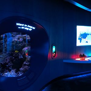 Ocean Pavilion - At Home In The Ocean Exhibit Hall