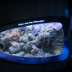 Ocean Pavilion - At Home In The Ocean Exhibit Hall