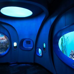 Ocean Pavilion - At Home In The Ocean Exhibit Hall