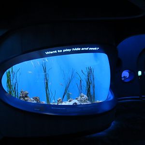 Ocean Pavilion - At Home In The Ocean Exhibit Hall