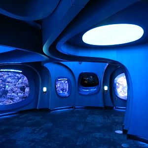 Ocean Pavilion - At Home In The Ocean Exhibit Hall