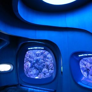 Ocean Pavilion - At Home In The Ocean Exhibit Hall