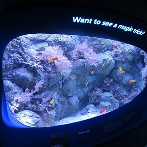 Ocean Pavilion - At Home In The Ocean Exhibit Hall