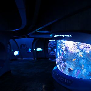 Ocean Pavilion - At Home In The Ocean Exhibit Hall