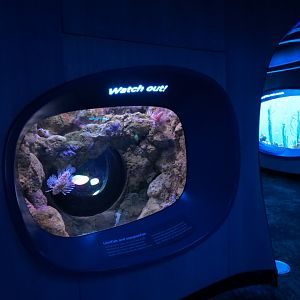 Ocean Pavilion - At Home In The Ocean Exhibit Hall