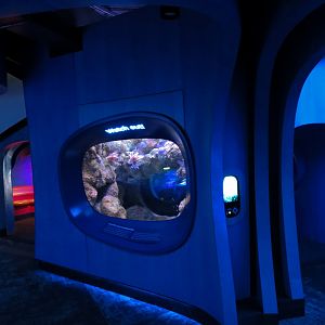 Ocean Pavilion - At Home In The Ocean Exhibit Hall