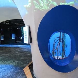 Ocean Pavilion - Into The Shallows Exhibit