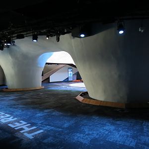 Ocean Pavilion - Into The Depths Exhibit Backside