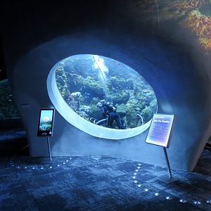 Ocean Pavilion - Into The Depths/Coral Reef Exhibit