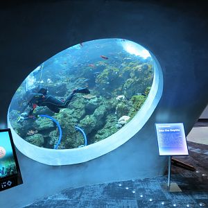 Ocean Pavilion - Into The Depths/Coral Reef Exhibit