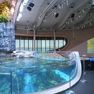 Ocean Pavilion - Coral Reef/Into The Depths Exhibit