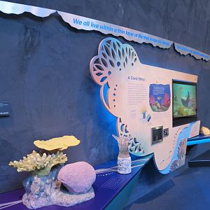 Ocean Pavilion - Coral Reef Infographics