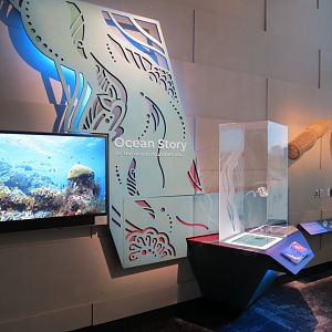 Ocean Pavilion - The Overlook