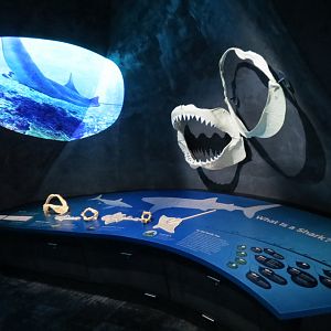 Ocean Pavilion - Lower Level Infographics