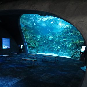 Ocean Pavilion - The Reef Exhibit - Lower Level View
