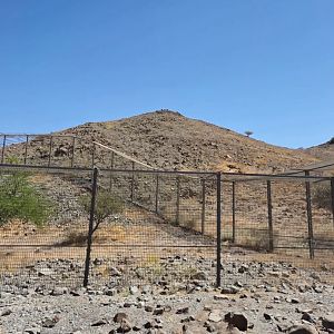 Arabian Leopard exhibit, Al Hefaiyah Conservation Centre