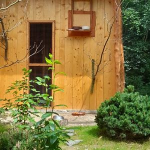New aviary for red-billed blue magpies and Mrs. Hume's pheasant