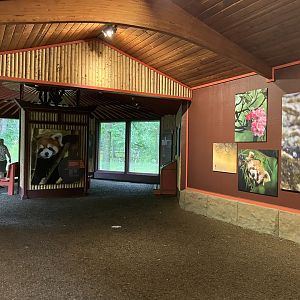 Red Panda Forest- Shelter Interior