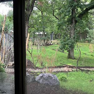 Red Panda Forest - Tufted Deer/Red-Crowned Crane Exhibit