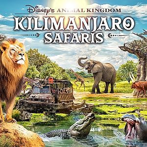 Kilimanjaro Safaris | Zoo Tours