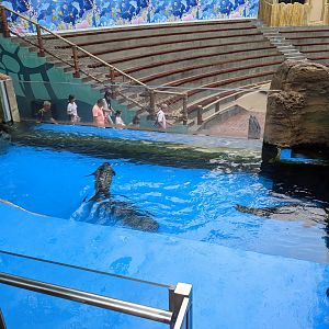 Seal show arena - Ocean World (Guangzhou)