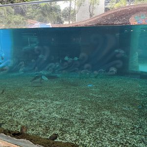 Outside pool - Ocean World (Guangzhou)