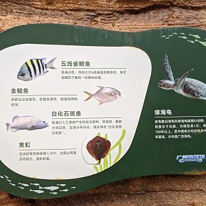 Signage, outside pool - Ocean World (Guangzhou)