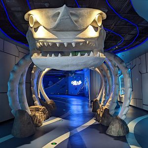 Shark area - Ocean World (Guangzhou)