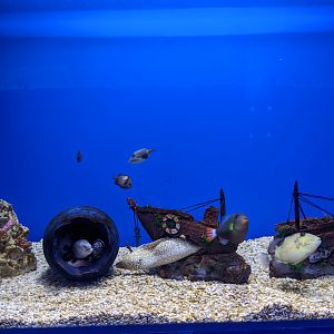 Moray tank - Ocean World (Guangzhou)