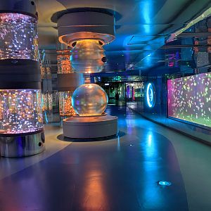 Jellyfish hall - Ocean World (Guangzhou)