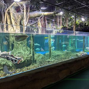 Amazon tank - Ocean World (Guangzhou)