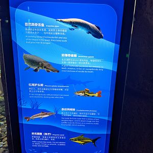 Amazon tank signage - Ocean World (Guangzhou)