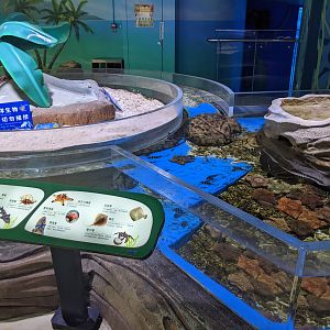 Touch tank - Ocean World (Guangzhou)