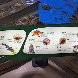Touch tank signage - Ocean World (Guangzhou)