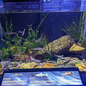 Pearl River System - Ocean World (Guangzhou)