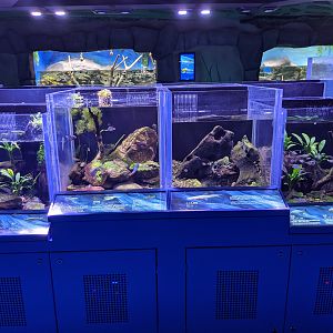 Pearl River System - Ocean World (Guangzhou)