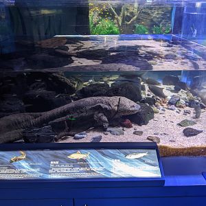 Pearl River System - Ocean World (Guangzhou)