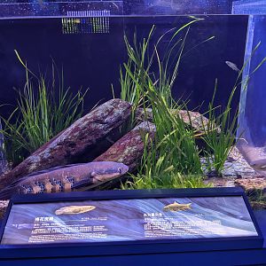 Pearl River System - Ocean World (Guangzhou)